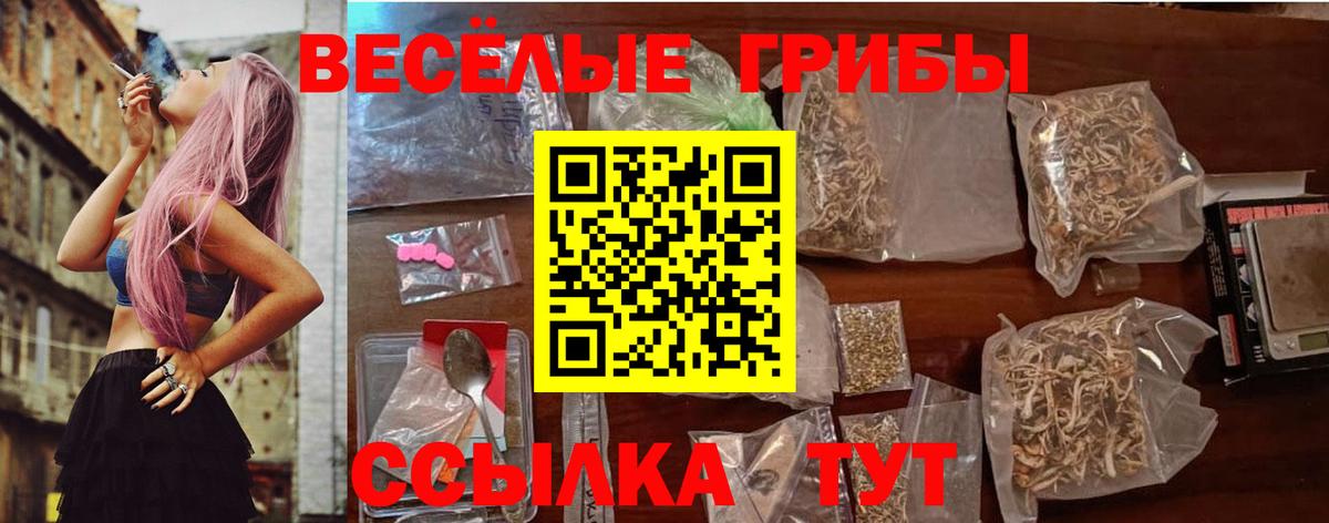 Галлюциногенные грибы GOLDEN TEACHER Кулебаки