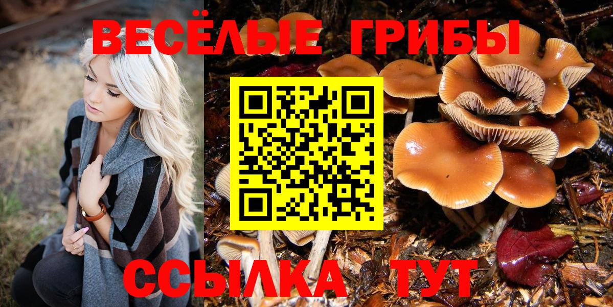Кулебаки  где купить наркоту  Вход с VPN  Псилоцибиновые грибы мицелий  Галлюциногенные грибы GOLDEN TEACHER 